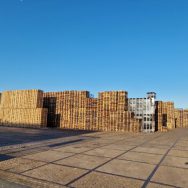 Afbeelding zonder ALT